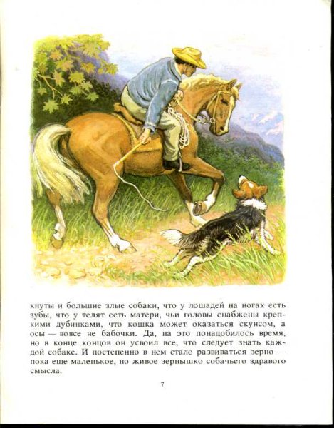 Койот и Чинк