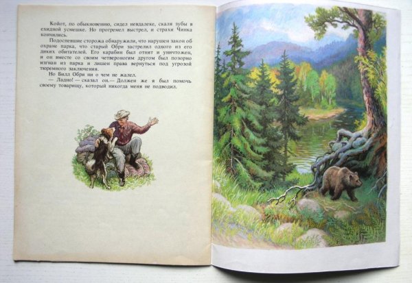 Иллюстрации к рассказу Чинк Сетон-Томпсон