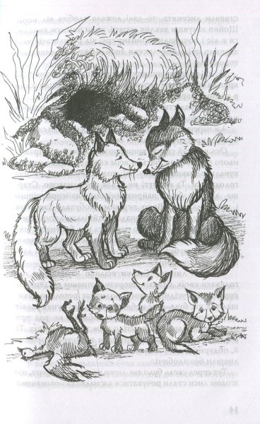 Жизнь серого медведя Сетон Томпсон