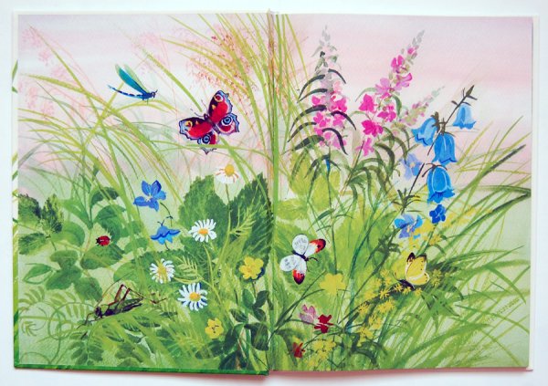 Михаил пришвин охота за бабочкой