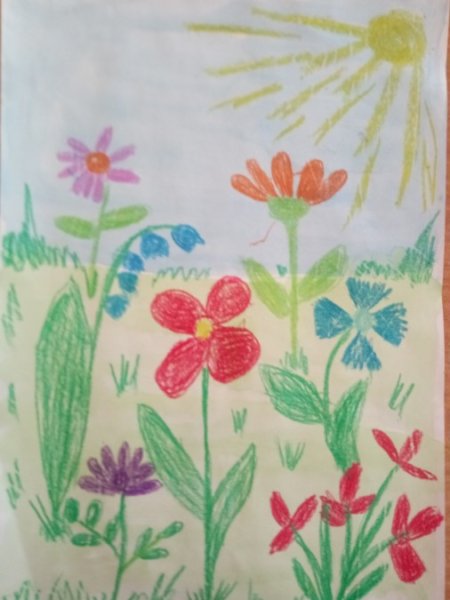 Цветы на лугу рисование