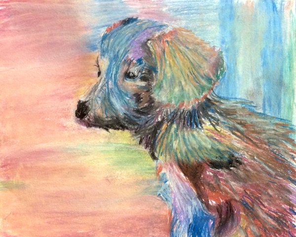 Домашние животные пастелью