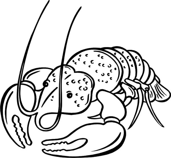 Ракообразные раскраска для детей