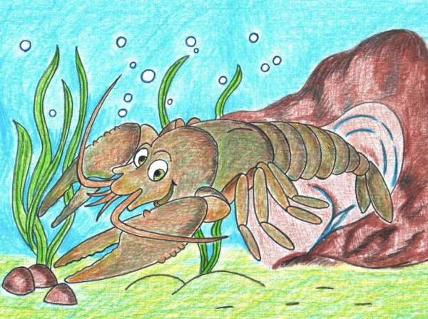 Детские рисунки Рачков