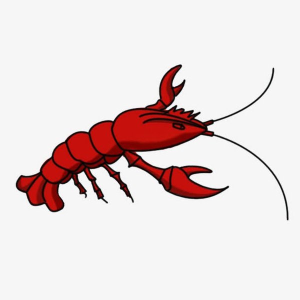 Рачки рисунок для детей