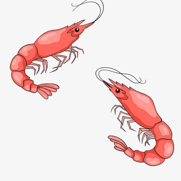 Креветка для детей