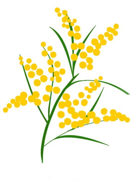 Ветка мимозы для детей