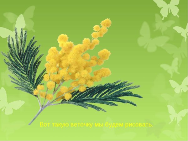 Ветка мимозы ватными палочками