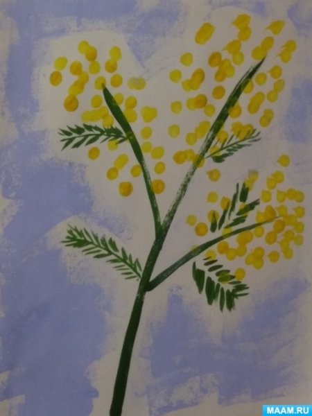 Колдина изо веточка мимозы