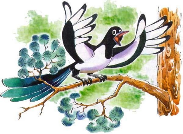 Болтливая сорока Сладков