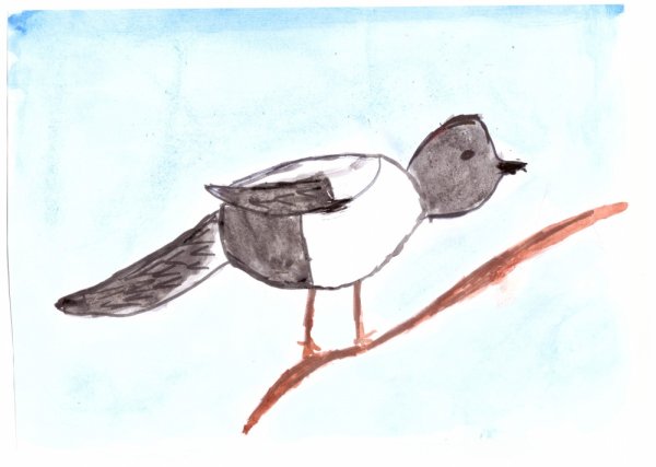 Рисование сорока подготовительная группа