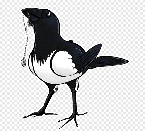 Сорока для детей