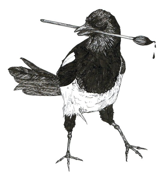 Сорока иллюстрация