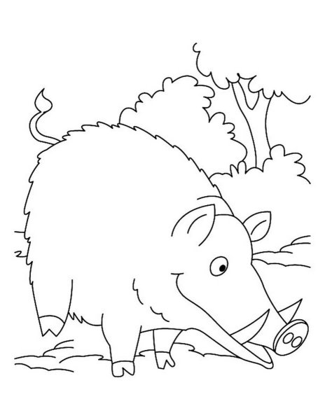 Кабан для детей