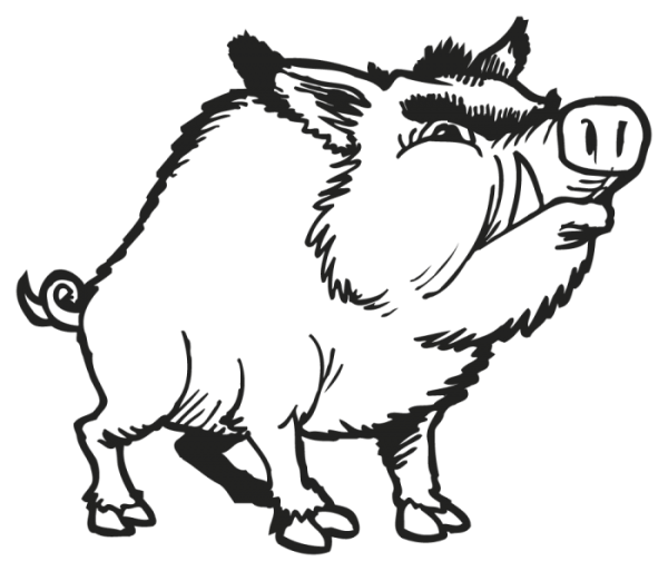 Кабан контур