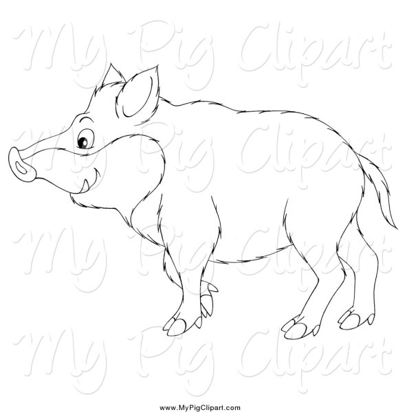Кабан раскраска