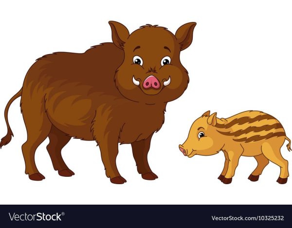 Кабан рисование