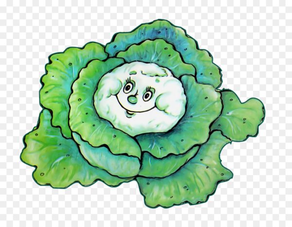 Капуста рисунок