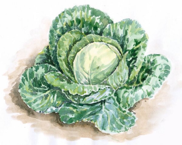 Веселые овощи