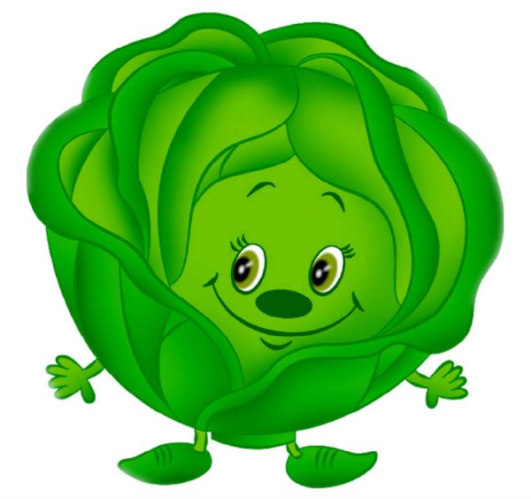 Капуста иллюстрация