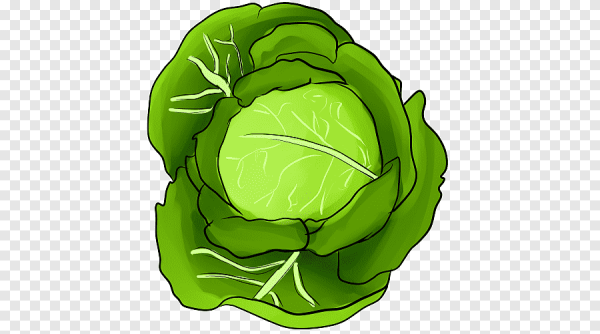 Капуста пиктограмма