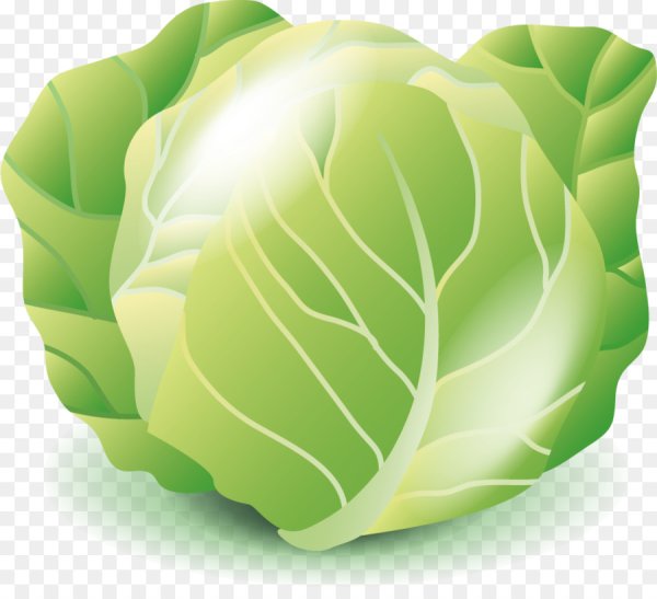 Капуста акварелью