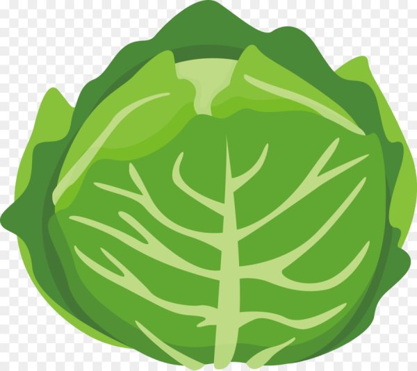 Нарисовать цветную капусту