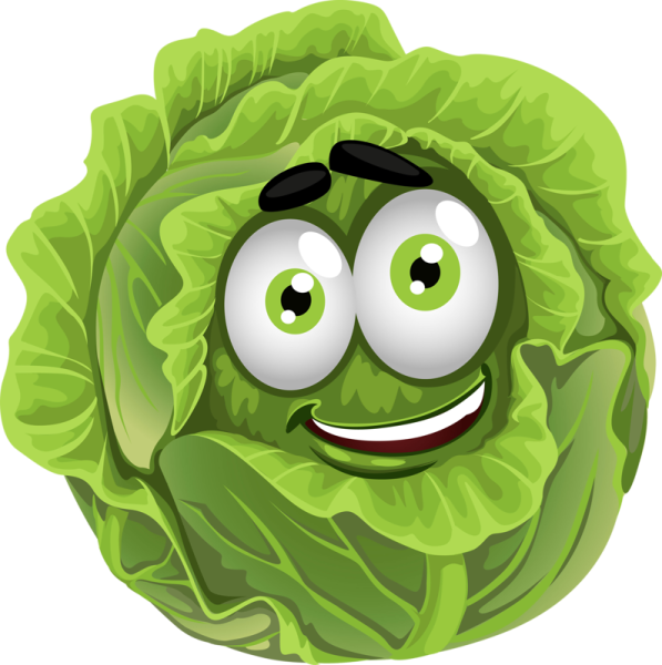 Капуста раскраска для детей