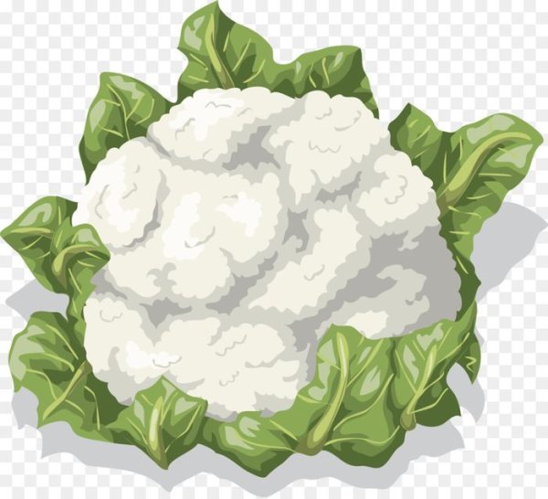 Капуста раскраска