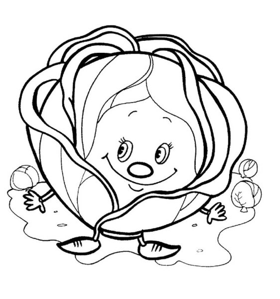 Кочан капусты раскраска