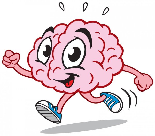 Смешной мозг