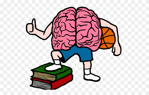 Мозг рисунок