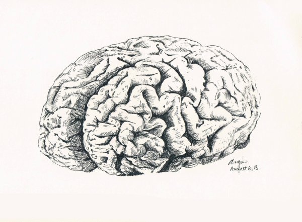 Мозг карандашом