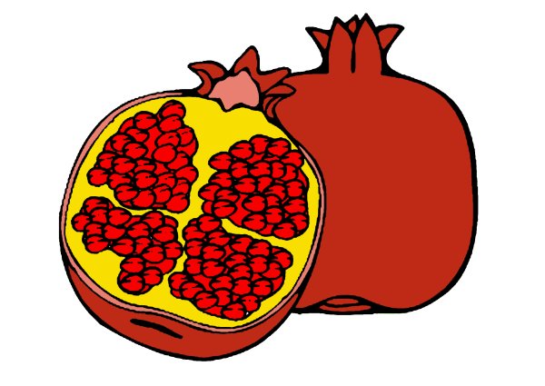Гранат рисунок