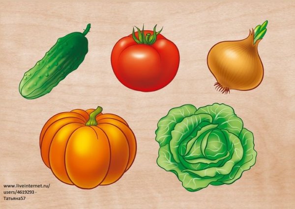 Овощи для детского сада