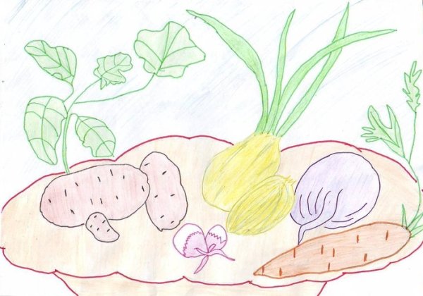 Овощи и фрукты дла дети