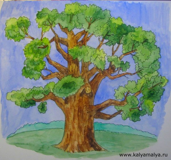 Рисования для детей derewa