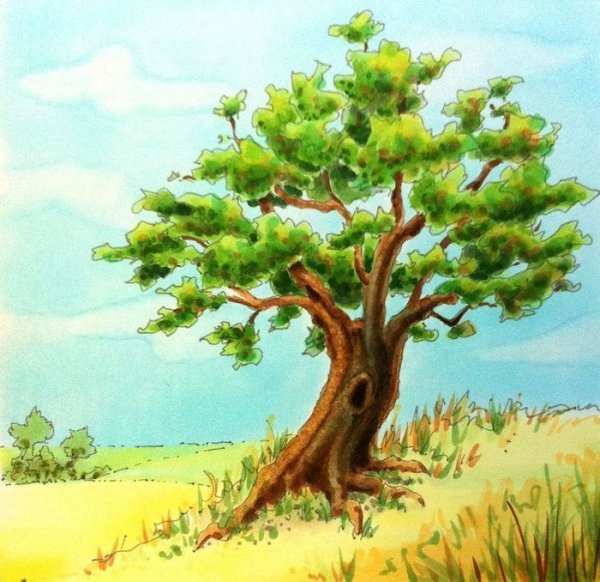 Сказочный дуб