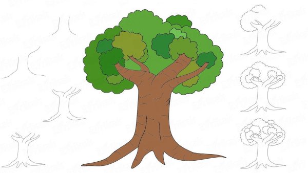 Дерево рисунок