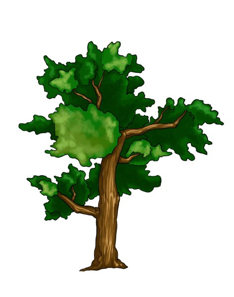 Дуб рисунок