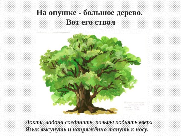 Дерево дуб для детей