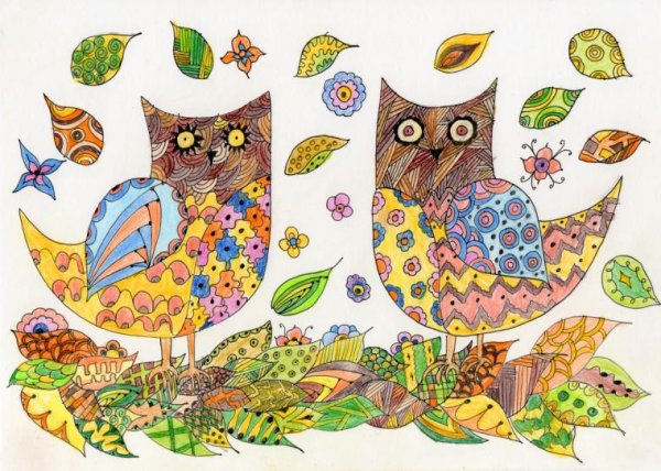 Зендудлинг Сова