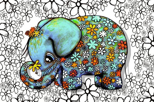 Karin Taylor слоны