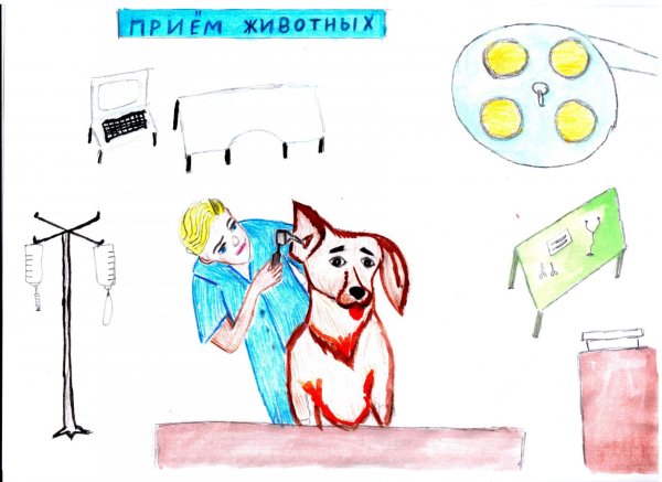 Конкурсы рисунков профессия ветеринар