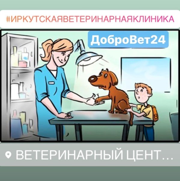 Рисунок на тему моя будущая профессия ветеринар