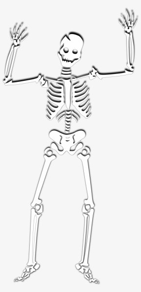 Скелет раскраска для детей