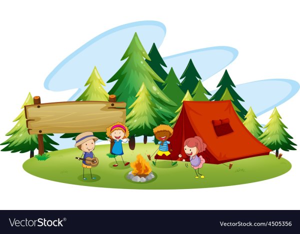 Туристический лагерь в лесу