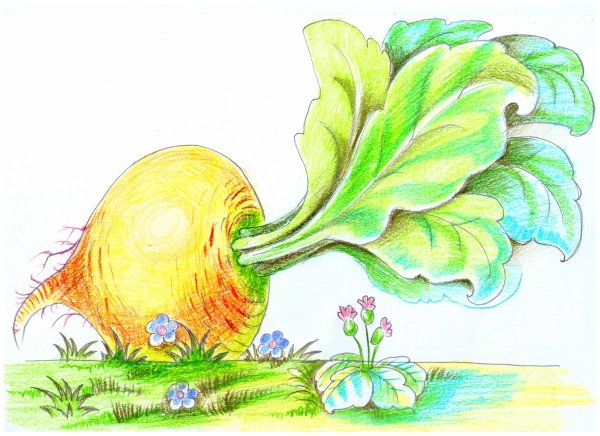 Нарисовать репку поэтапно