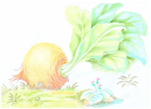 Сказки. Раскраски