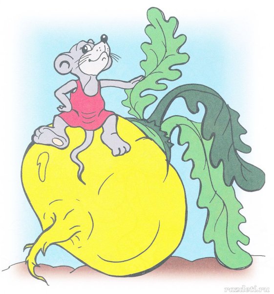 Сказки-раскраски. Репка